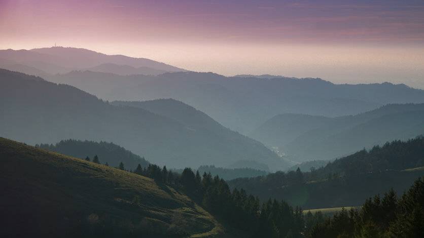 Services Exploring Family Diaries